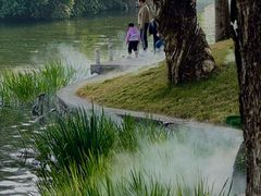 -荔湾湖公园