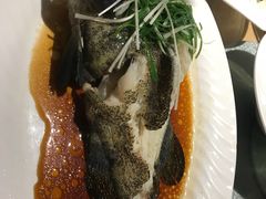 清蒸石斑鱼-富丽华大酒店·御园中餐厅(茶亭路店)