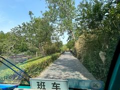 -溱湖国家湿地公园