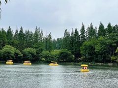 -东平国家森林公园
