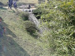-桃花岭景区