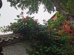 -碑林公园