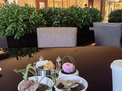 -王府半岛酒店·大堂茶座