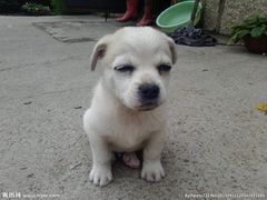 -欧贝拉蛋糕店(东门路店)