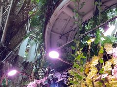 -正佳雨林生态植物园