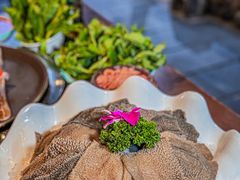 -苏家大院庭院式老火锅(高灯北街店)