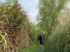 -梁鸿国家湿地公园