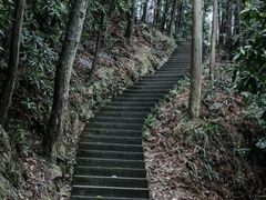 -缙云山景区