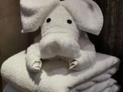 -上海崇明金茂凯悦酒店