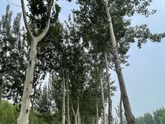 -东郊湿地公园