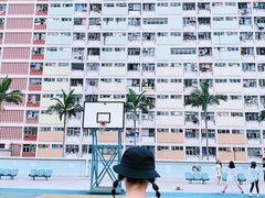 -彩虹村