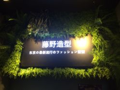 点击看大图 -藤野造型