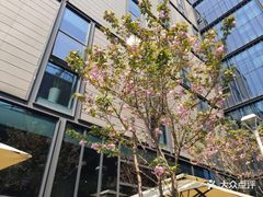 -麦田工坊(月湖店)