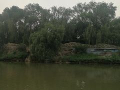 -东方巨龟苑景区