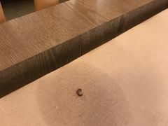 -帐篷客·溪龙茶谷度假酒店