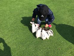 -萌宠亲子动物乐园(槐房万达店)