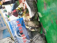 -嘉兴海底世界