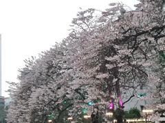 -红星桥(地铁站)