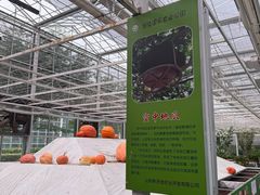 -兰陵国家农业公园