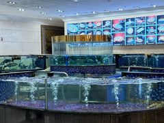 -龙悦湾酒家·八阵鱼生·渔人码头店