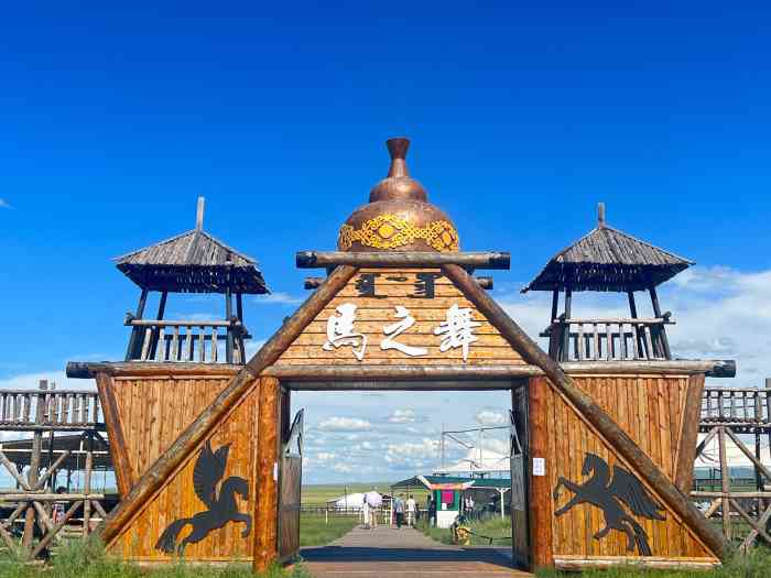 巴尔虎蒙古部落民俗旅游度假景区-"草原上马术表演很多,导游说这家更
