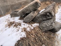 -皇城根遗址公园-东安门遗址