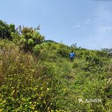 农村溜娃不比城里差呀