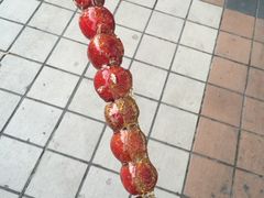 -四季民福烤鸭店(王府井灯市口店)
