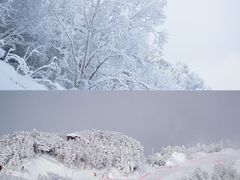 -鳌山滑雪度假区