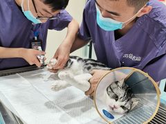 -萌兽医馆·犬猫专科·眼科中心·宠物医院(朝阳门分院)
