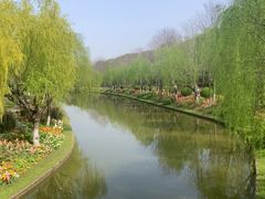 -上海鲜花港