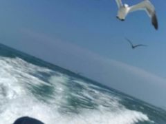 -海驴岛(荣成市)