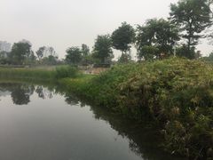 -眉山湿地公园(东坡区)
