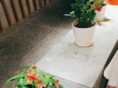 -宝燕壹号景观餐厅(龙盛国际商业广场店)