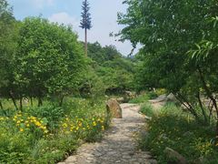 -武汉姚家山旅游景区