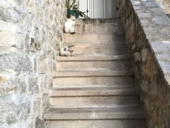 -布德瓦老城