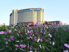 -南京医科大学(江宁校区)