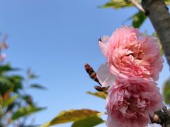 -金鸡山公园