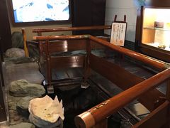 -蟹道乐(網元別館店)
