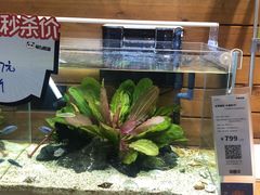 -龟与熊猫宠物公园(南坪店)