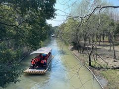 -上海长兴岛郊野公园