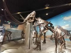 -国家自然博物馆