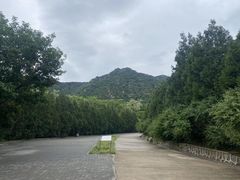 -北京鹫峰国家森林公园