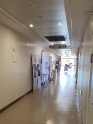 -杭州海亮医院 · 禾芸嘉医美中心