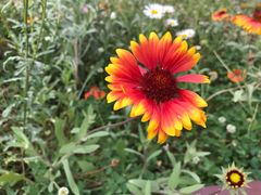 -云漫湖生态度假公园