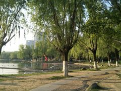-天鹅湖体育公园