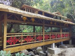 -海南霸王岭国家森林公园