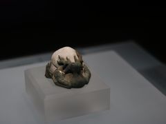 -呼和浩特博物馆