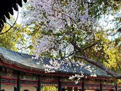 -京城小江南·北京烤鸭·江南土菜·白鱼(中关村店)