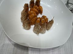 -富淳饭店(世纪公园店)